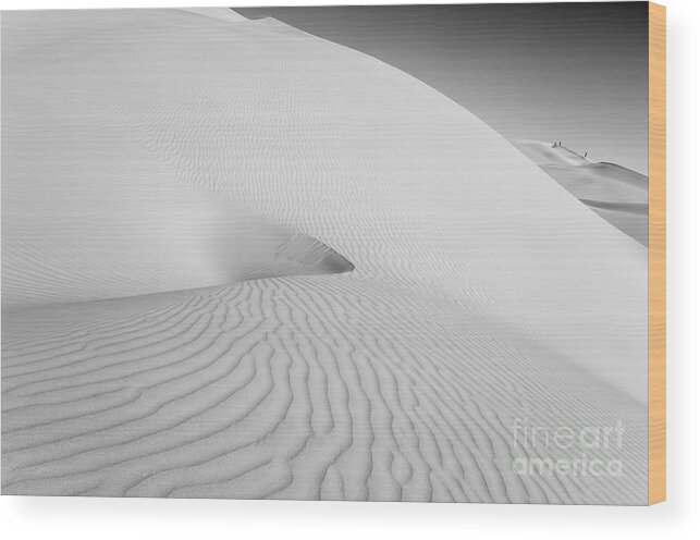 Dunes Wood Print featuring the photograph Desert Dunes by Jennifer Magallon