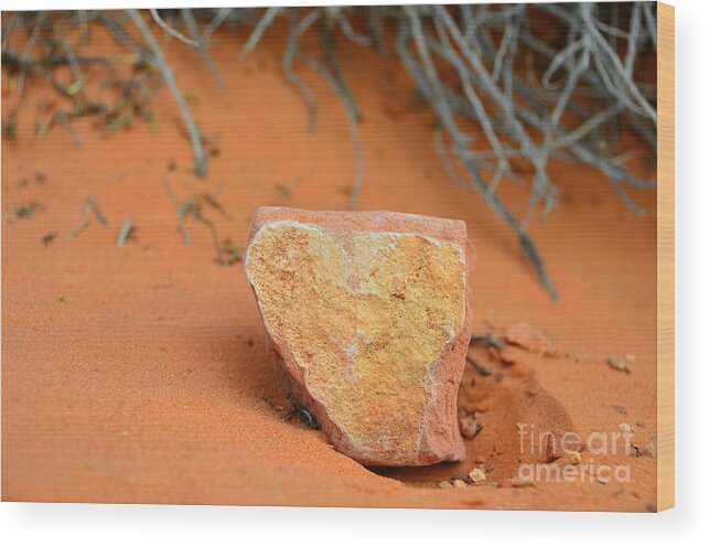 Horseshoe Bend Wood Print featuring the photograph Desert Heart Rock by Debra Thompson