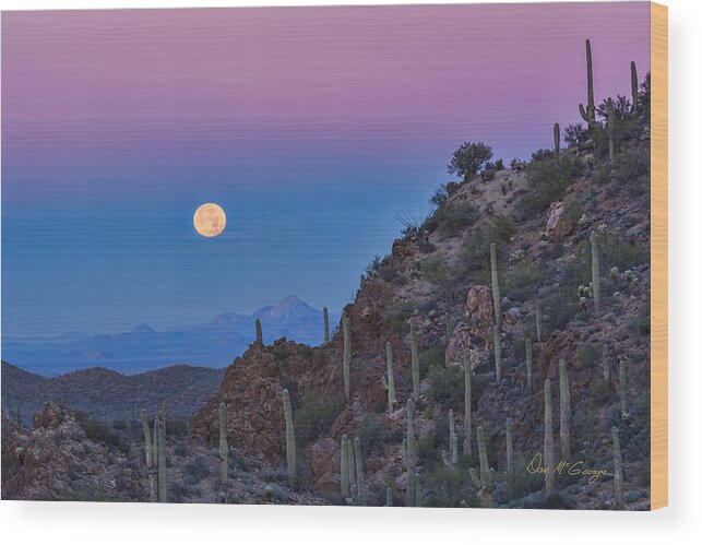 Tucson Wood Print featuring the photograph Desert Moonset by Dan McGeorge