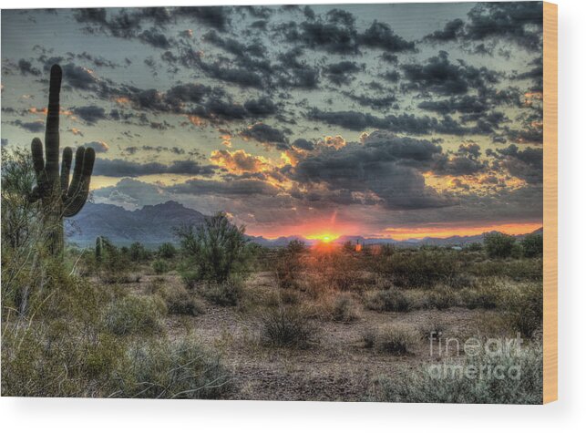 Arizona Wood Print featuring the photograph Desert Sunrise by Saija Lehtonen