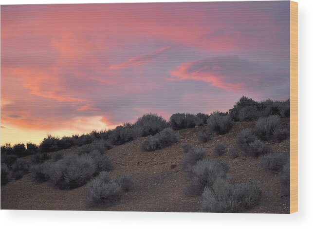 Scenic Wood Print featuring the photograph Desert Sunset by AJ Schibig