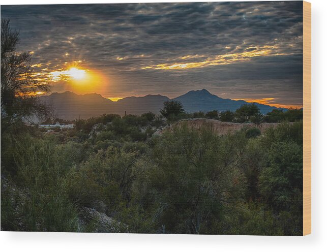 Arizona Wood Print featuring the photograph Desert Sunset by Dan McManus