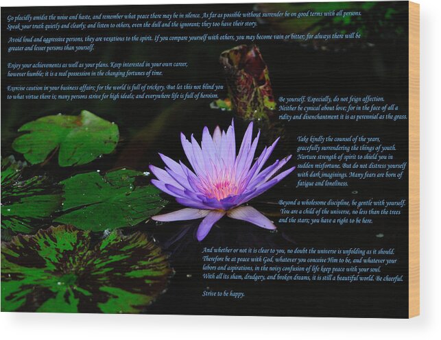 Desiderata Wood Print featuring the photograph Desiderata by Greg Norrell