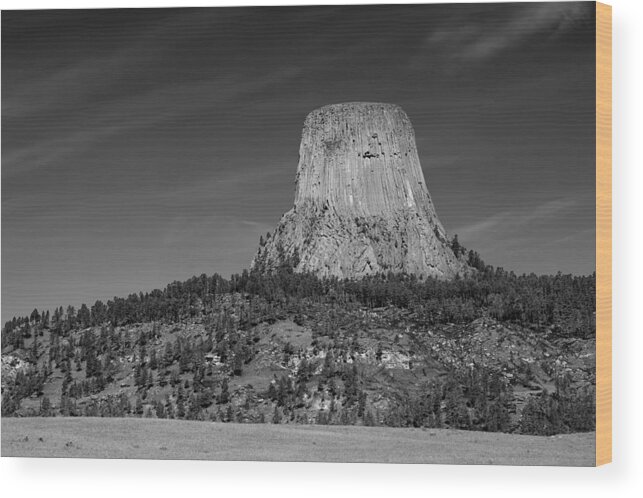 Devil's Tower Wood Print featuring the photograph Devil's Tower by Steve Parr