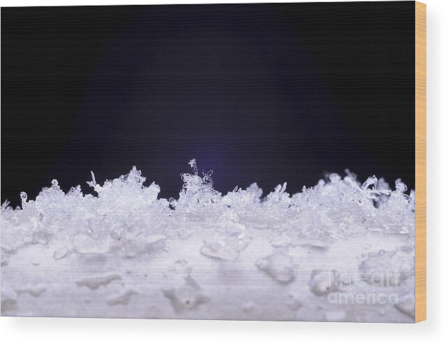 Snowflake Wood Print featuring the photograph Diamond in the Rough by Luke Moore