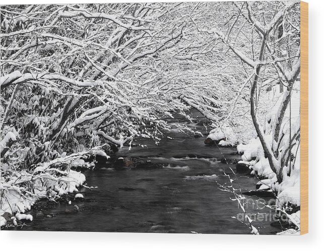 Snow Wood Print featuring the photograph Dick's Creek Snow 2014 by Matthew Turlington