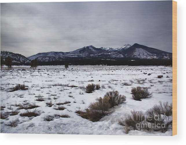 Road Wood Print featuring the photograph Distant-San Francisco Peaks V2 by Douglas Barnard