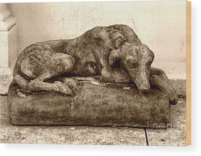 Dog Wood Print featuring the photograph Dog Sculpture by John Harmon