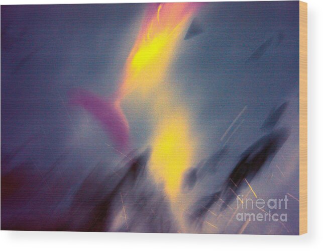 Neon Wood Print featuring the photograph Dolphin Games by Loretta Jean Photography