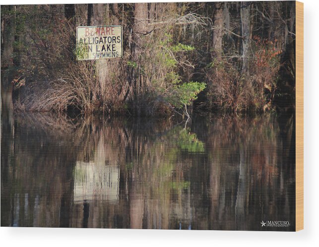 Greenfield Lake M Scene Wood Print featuring the digital art Don't Feed The Alligators by Phil Mancuso