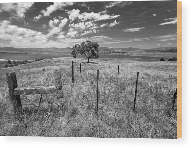 Big Sky Wood Print featuring the photograph Don't Fence Me In - Black and White by Peter Tellone