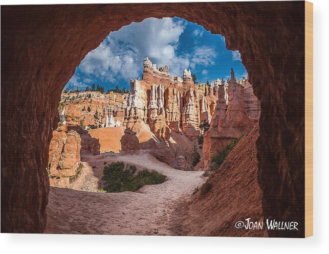 Bryce National Park Wood Print featuring the photograph Doorway to Bryce by Joan Wallner