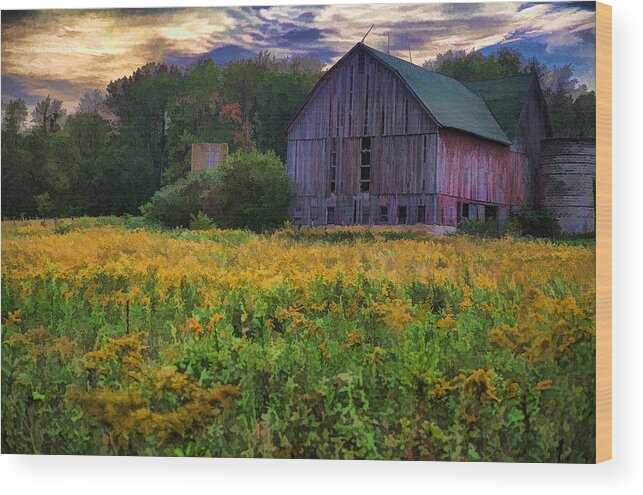 Farm Wood Print featuring the photograph Down on the Farm II by John Crothers