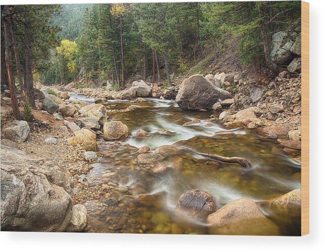 Mountains Wood Print featuring the photograph Down Stream by James BO Insogna