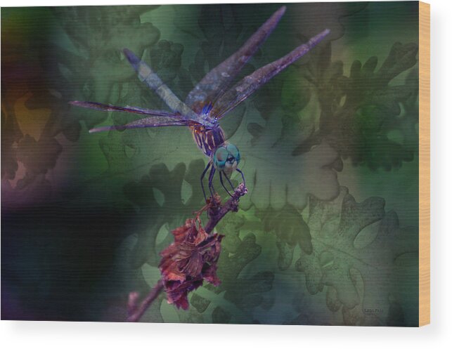 Blue Dasher Wood Print featuring the photograph Dragonfly 4 by Lesa Fine by Lesa Fine