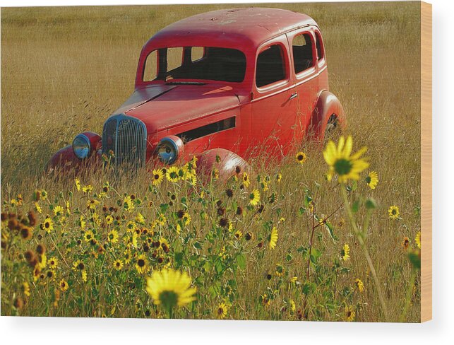 Car Wood Print featuring the photograph Dream left Behind by Leticia Latocki