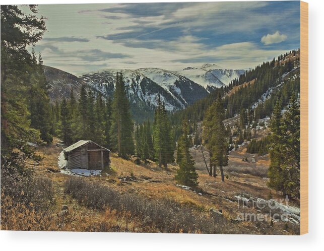 Rocky Mountain Wood Print featuring the photograph Dream of Years Past by Roxie Crouch