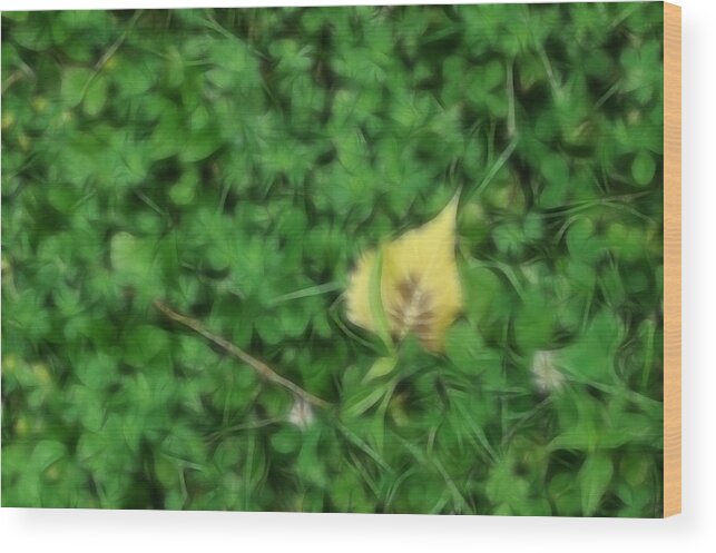 Green Wood Print featuring the photograph Dreamy Gardens 4 by Rhonda Barrett