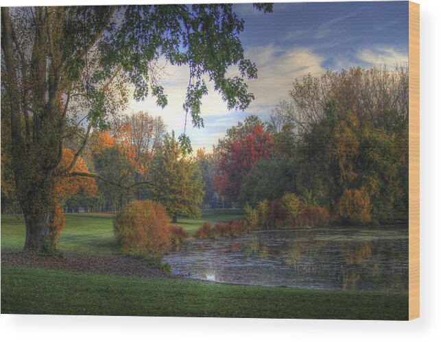 Autumn Wood Print featuring the photograph Dreamy View by Richard Gregurich