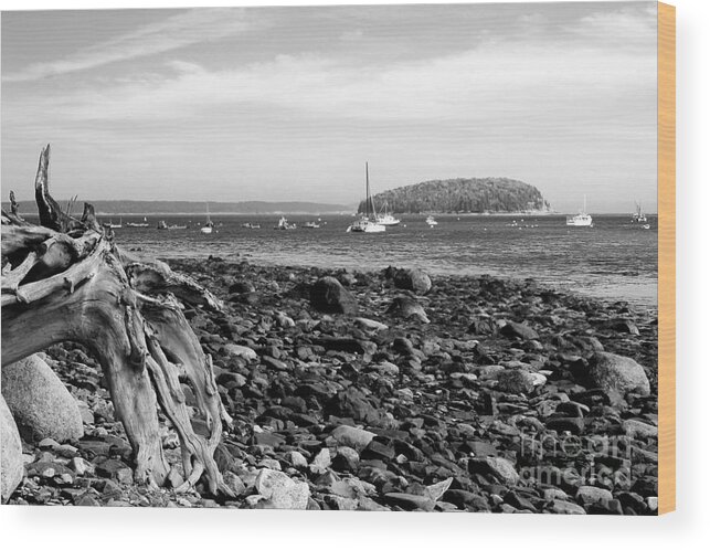 Driftwood On Rocky Beach Wood Print featuring the photograph Driftwood and Harbor by Jemmy Archer