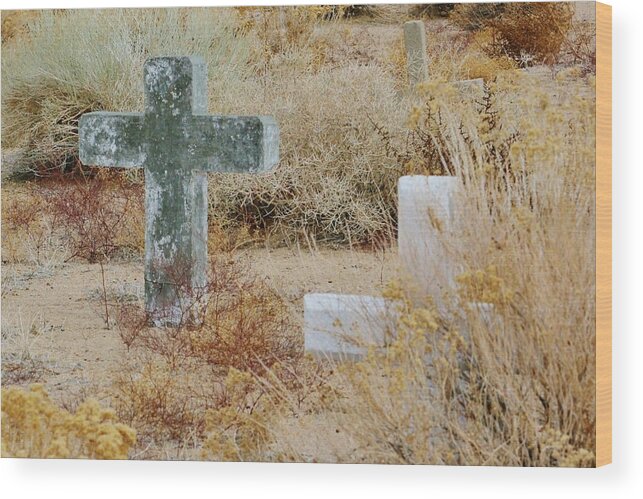 Desert Wood Print featuring the photograph Dry Eternity by Marilyn Diaz