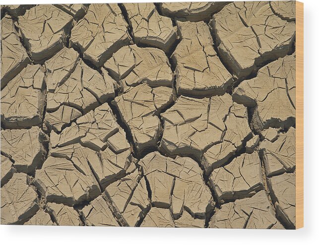 California Wood Print featuring the photograph Drying Mud In California by Richard Hansen