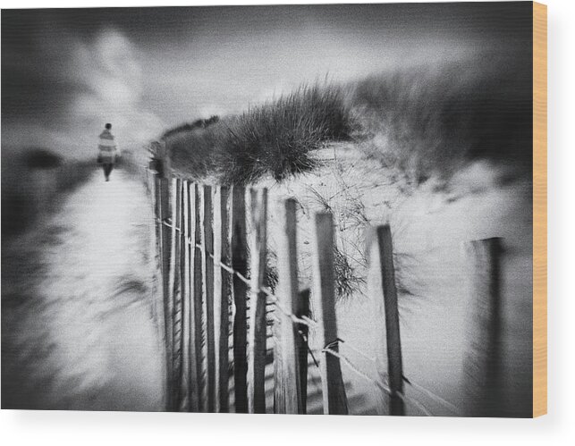 Beach Wood Print featuring the photograph Dune by Luc Vangindertael (lagrange)