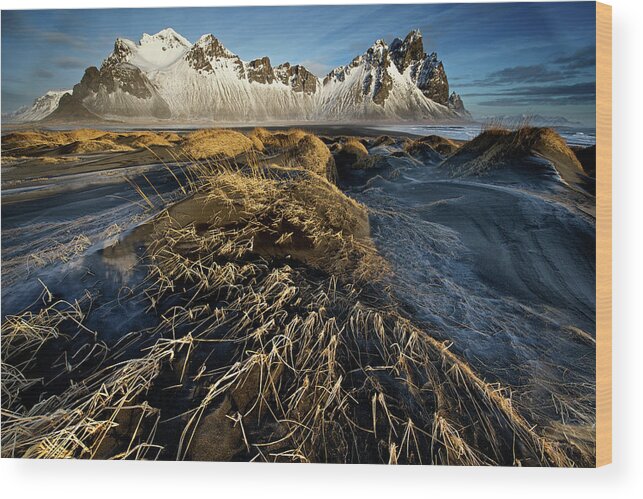 Vestrahorn Wood Print featuring the photograph Dunes And Sea Interact by Trevor Cole