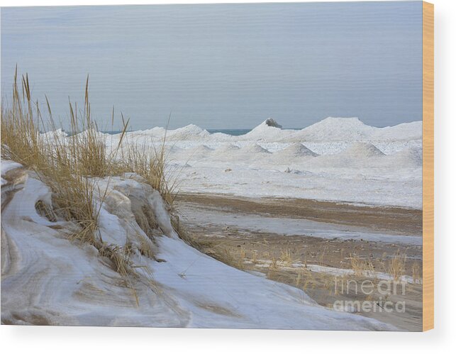 Dunes Wood Print featuring the photograph Dunes and Shelf Ice by Forest Floor Photography
