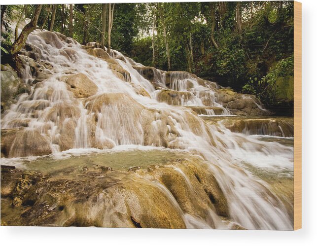  Wood Print featuring the photograph Dunn's River Falls by Melinda Ledsome