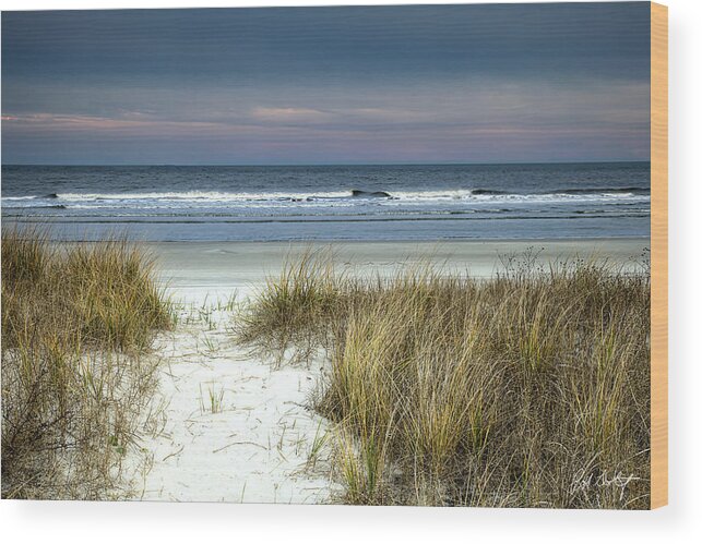 Atlantic Ocean Wood Print featuring the photograph Dusk in the Dunes by Phill Doherty