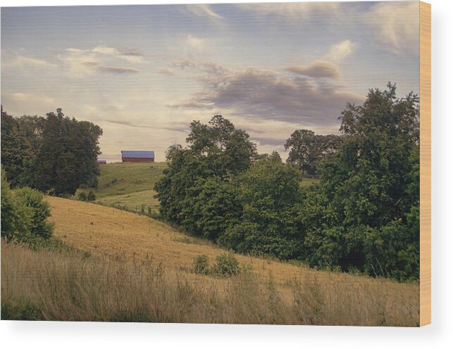 Farm Wood Print featuring the photograph Dusk on the Farm by Heather Applegate