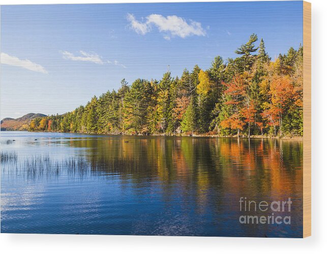 Fall Wood Print featuring the photograph Eagle Lake Autumn morning Acadia National Park by Ken Brown