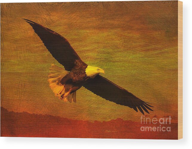 Eagle Wood Print featuring the photograph Eagle Spirit by Deborah Benoit