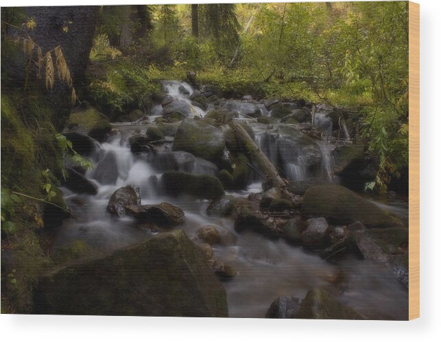 Colorado Wood Print featuring the photograph Early Autumn Cascades by Ellen Heaverlo