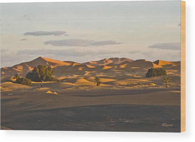 Sahara Dunes sand Dunes Desert Morocco Wood Print featuring the photograph Early morning Sahara by Christopher Byrd