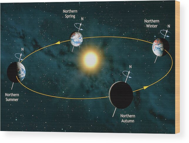 Earth Wood Print featuring the photograph Earth's Orbit Showing Seasons by Mark Garlick/science Photo Library