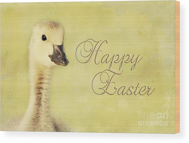 Easter Wood Print featuring the photograph Easter Gosling by Pam Holdsworth