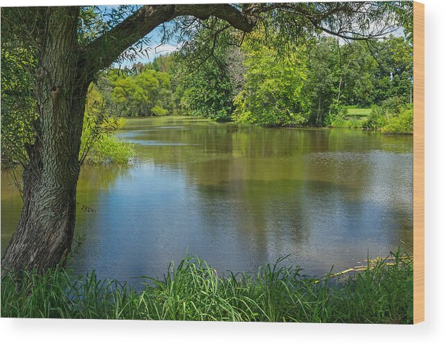Eastern Wood Print featuring the photograph Eastern Neck Wildlife Refuge Maryland by Photographic Arts And Design Studio