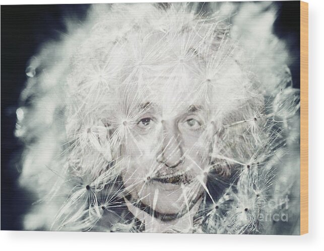 Einstein Wood Print featuring the digital art Einstein Dandy by Mindy Bench