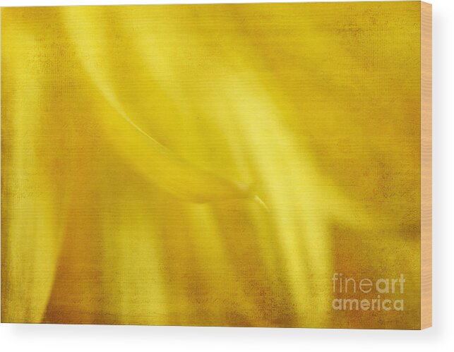 Painterly Wood Print featuring the photograph Elegance in Yellow by Darren Fisher
