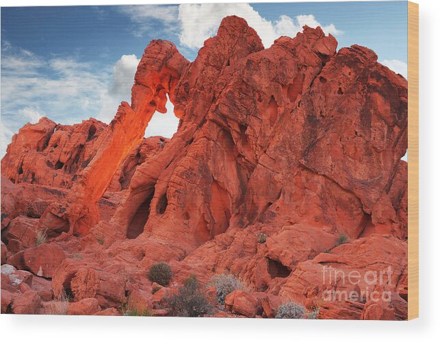 Elephant Wood Print featuring the photograph Elephant rock by Isabel Poulin