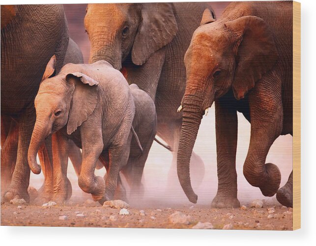 Wild Wood Print featuring the photograph Elephants stampede by Johan Swanepoel