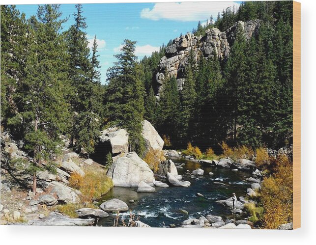 Colorado Wood Print featuring the photograph Eleven Mile Canyon Stream by Marilyn Burton