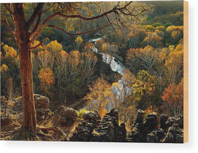 2012 Wood Print featuring the photograph Eleven-Point River by Robert Charity