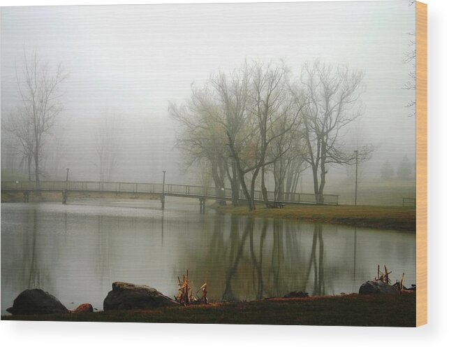 Pond Wood Print featuring the photograph Elim Bible College Pond Lima NY by Gerald Salamone