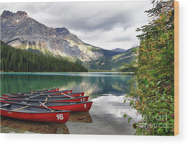 Landscape Wood Print featuring the photograph Emerald Lake Yoho National Park by Teresa Zieba