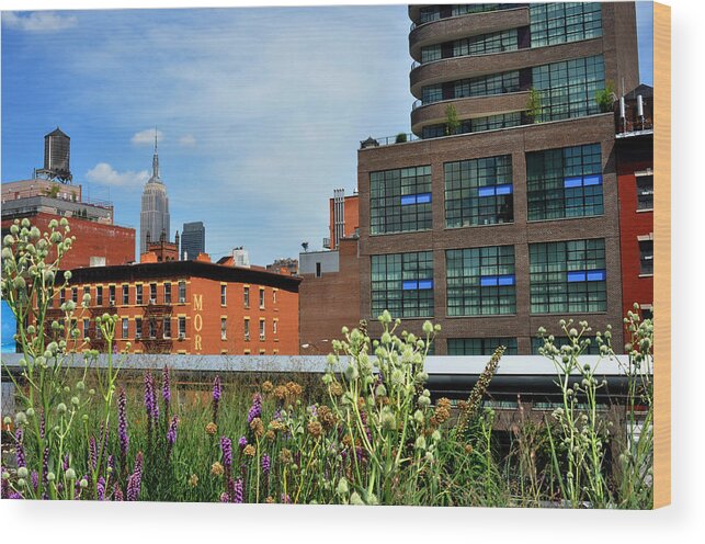 Empire State Building Wood Print featuring the photograph Empire State Building from the High Line by Diane Lent