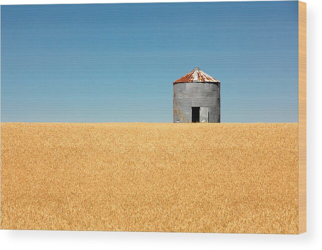 Grain Bin Wood Print featuring the photograph Empty Bin by Todd Klassy