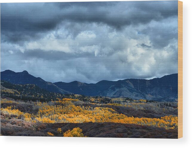 Aspens Wood Print featuring the photograph End of Fall by Jacqui Binford-Bell